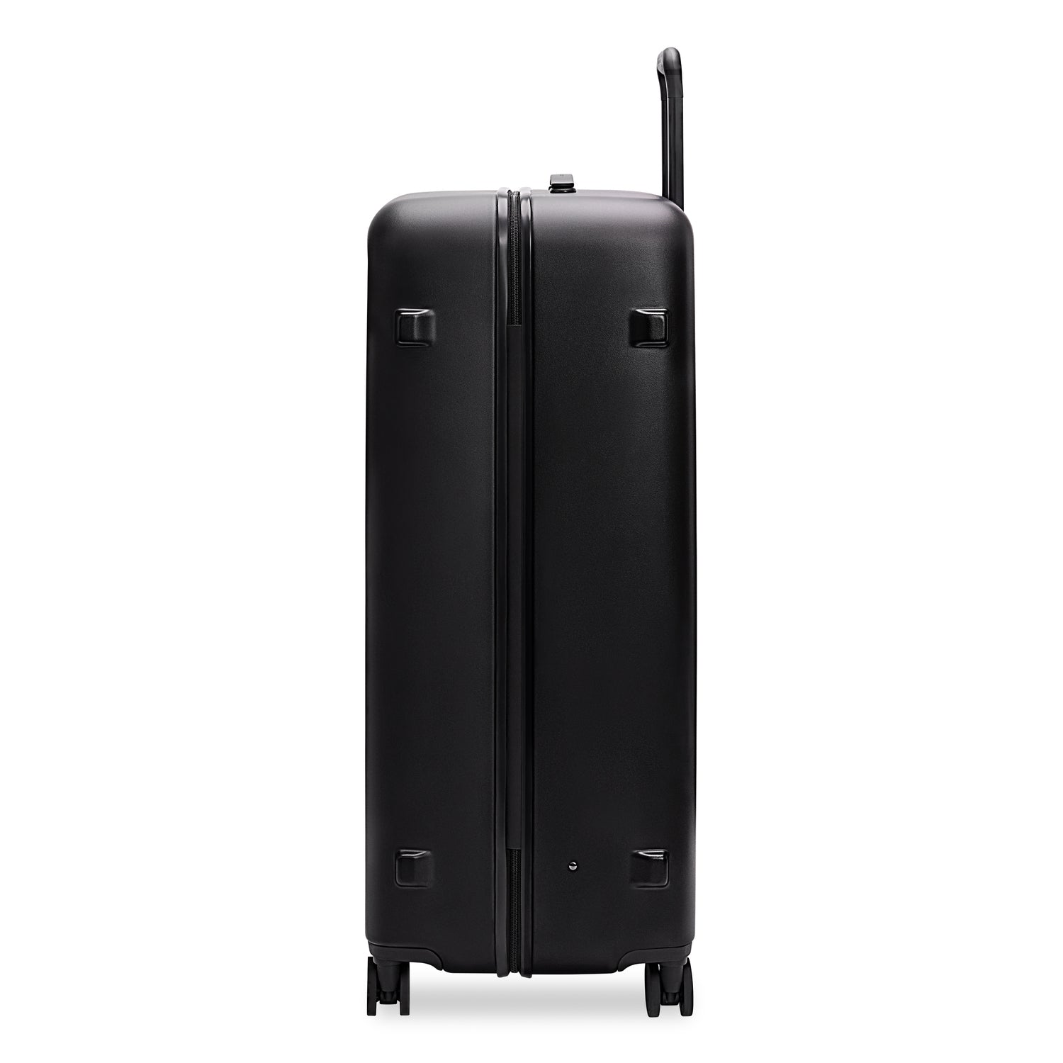 Extra Large Spinner - Image 6